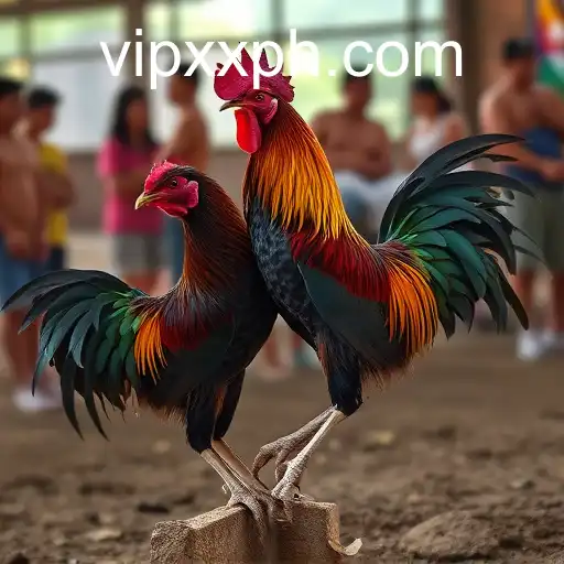 The Attraction of Sabong Games in the Philippines